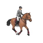 Papo - Cheval et cavalier concours | - Ohlala
