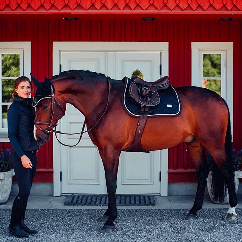 Equestrian Stockholm - 馬用サドルパッド ロイヤル クラシック | - Ohlala