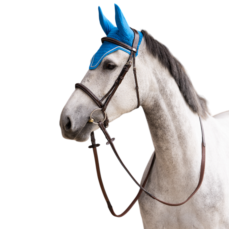Jump'In - Balthazar royal blue horse bonnet/ lurex