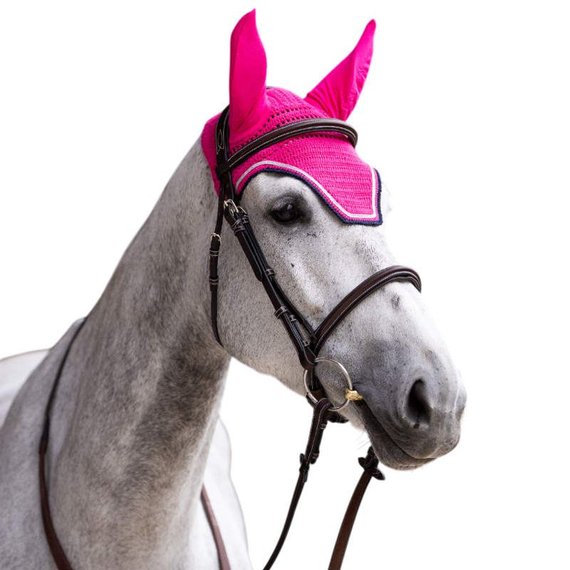 Jump'In - Bonnet pour chevaux Balthazar fuschia/ marine | - Ohlala