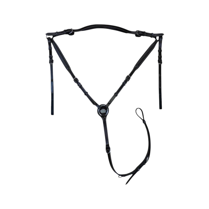 Jump'In - Collier de chasse Wednesday Week noir | - Ohlala