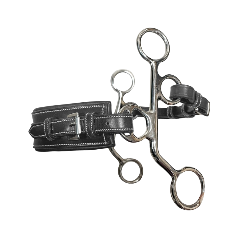 Jump'In - Hackamore skórzany małe ramiona prostokątny noseband czarny | - Ohlala