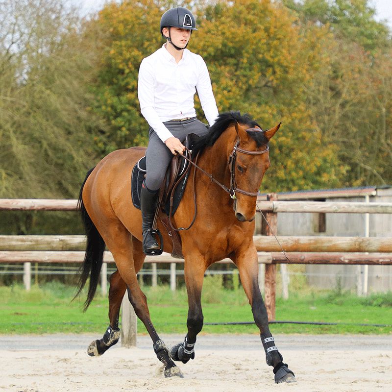 Jump'In - Brida One Paris con riendas Avellana | - Ohlala