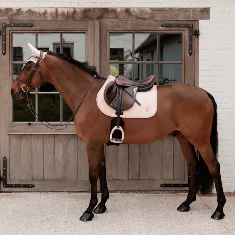 Kentucky Horsewear - Bonnet pour chevaux Wellington Sparkling vieux rose | - Ohlala