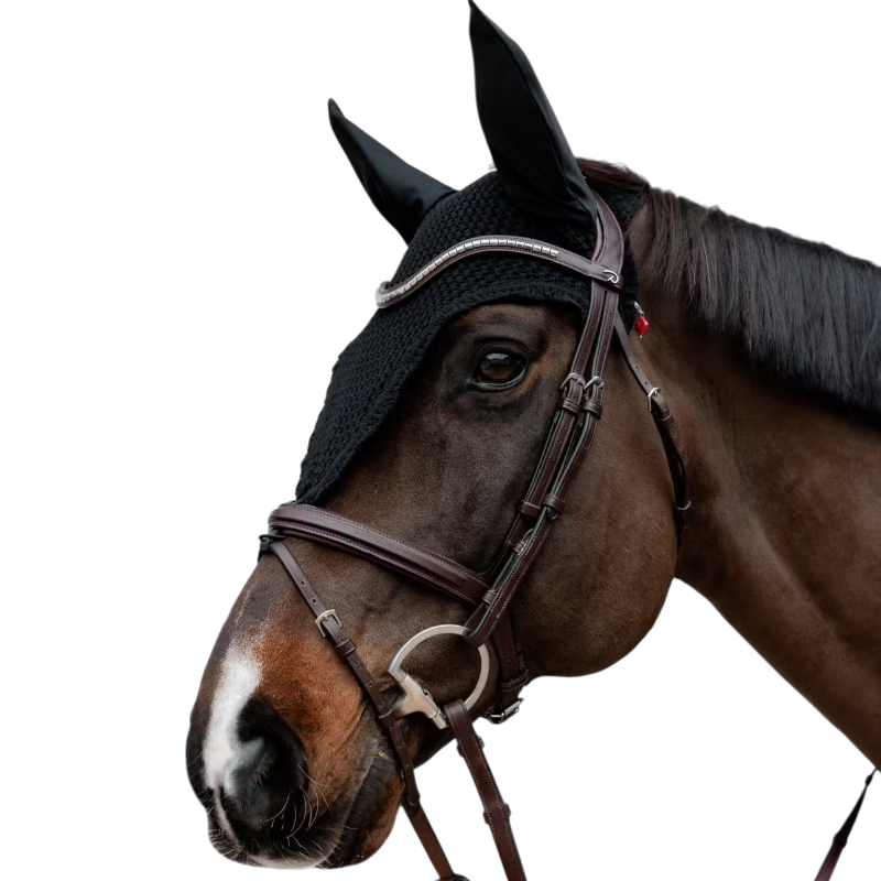Kentucky Horsewear - Lucky charms red stone | - Ohlala
