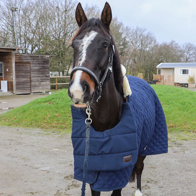 Kentucky Horsewear - Summer BIB Brust-/Widerristschutz Marine | - Ohlala