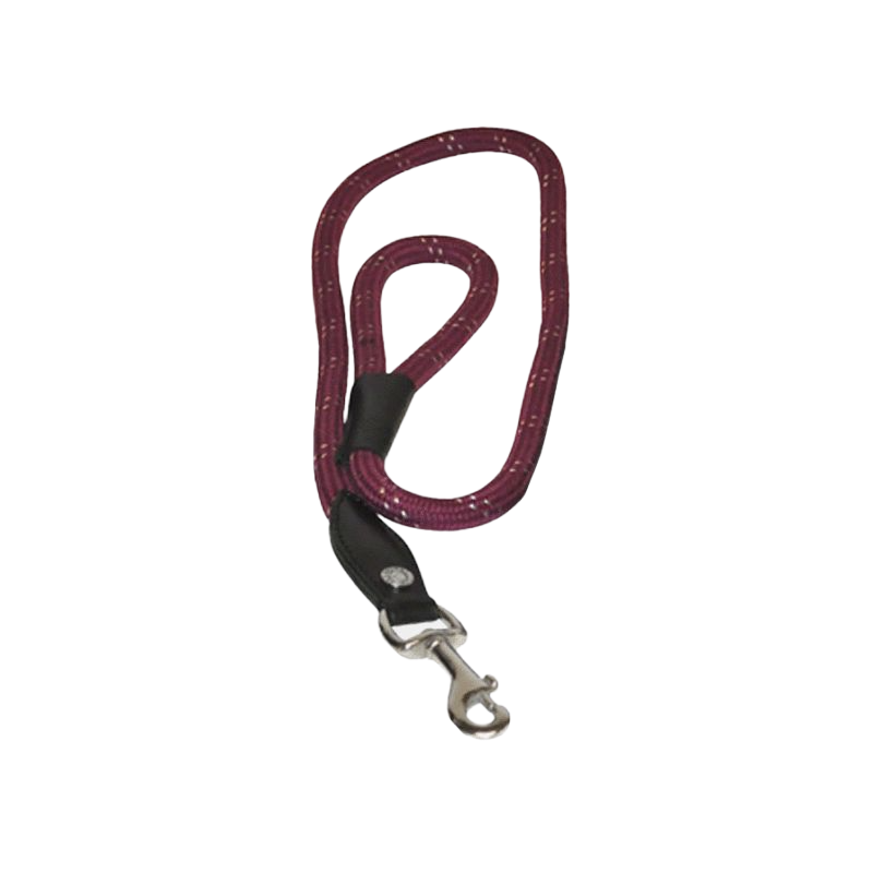 Canter - Laisse pour chiens corde noir/bordeaux | - Ohlala