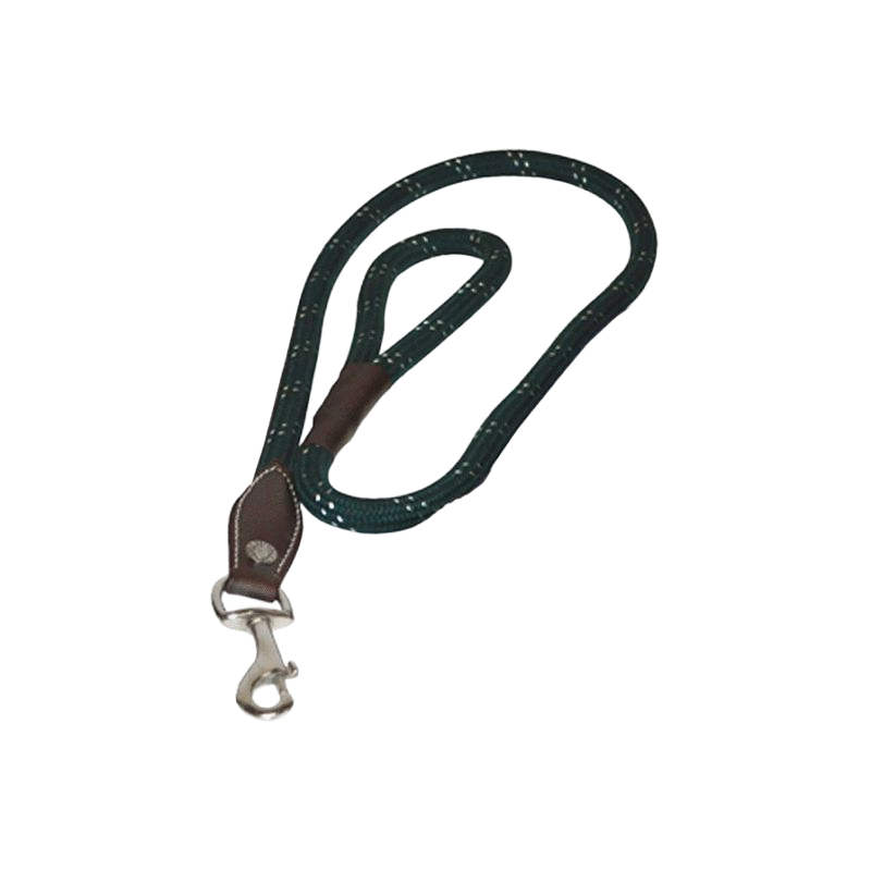 Canter - Laisse pour chiens corde marron/vert | - Ohlala