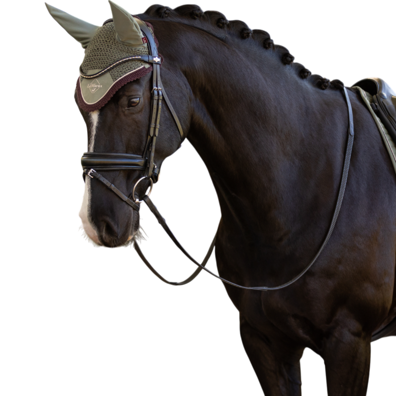 LeMieux - Bonnet pour chevaux Classic rosemary | - Ohlala