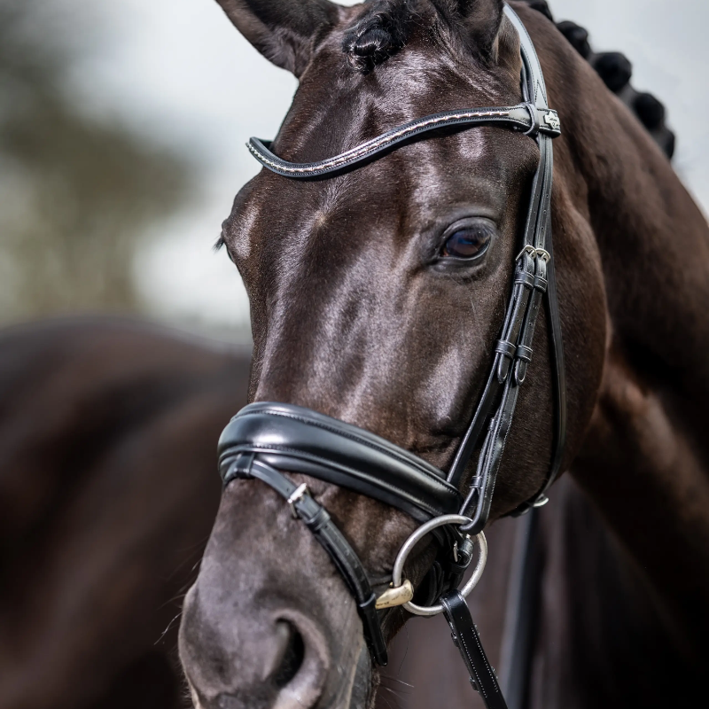 Lemieux - Bridon Kudos Classic Dressage noir