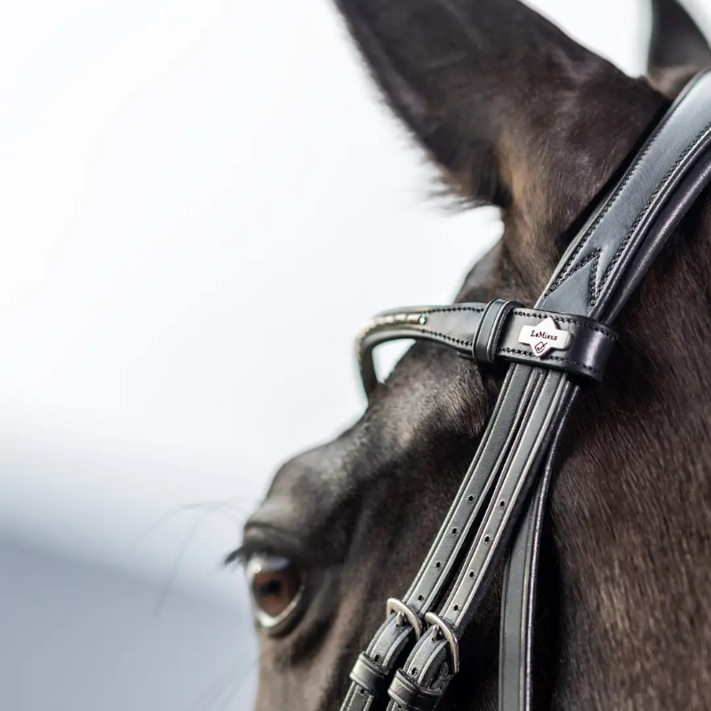 Lemieux - Bridon Kudos Classic Dressage noir