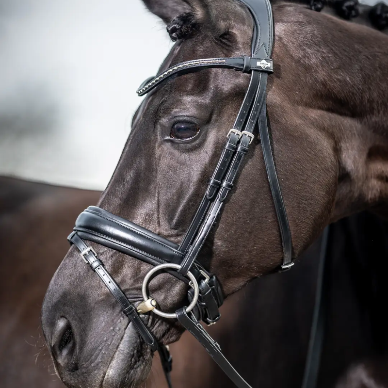Lemieux - Bridon Kudos Classic Dressage noir