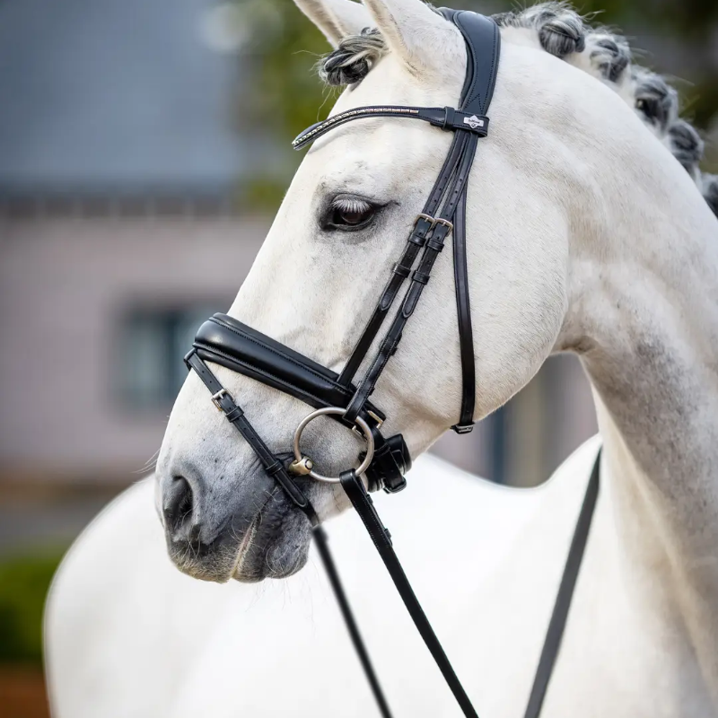 Lemieux - Bridon Kudos Classic Dressage noir