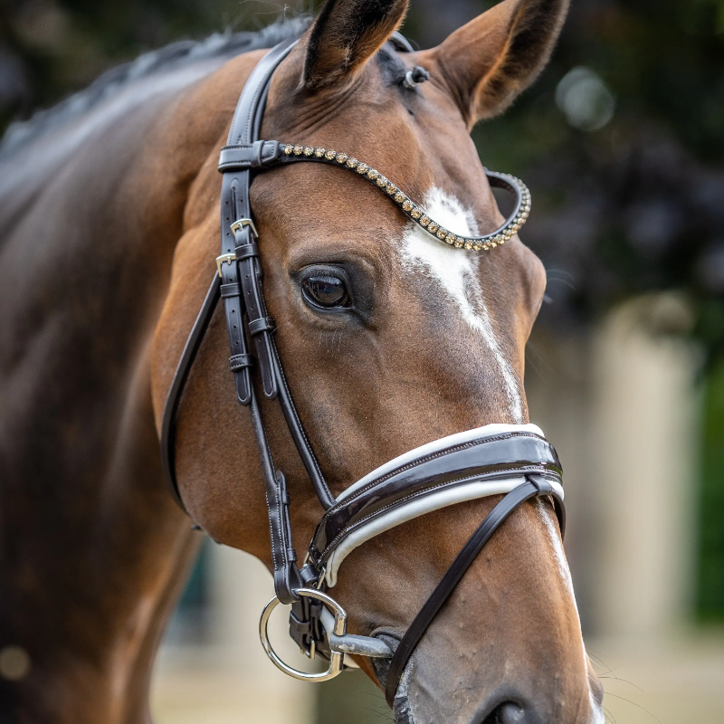 Lemieux - Bridon de dressage Kudos Patent marron/ blanc | - Ohlala