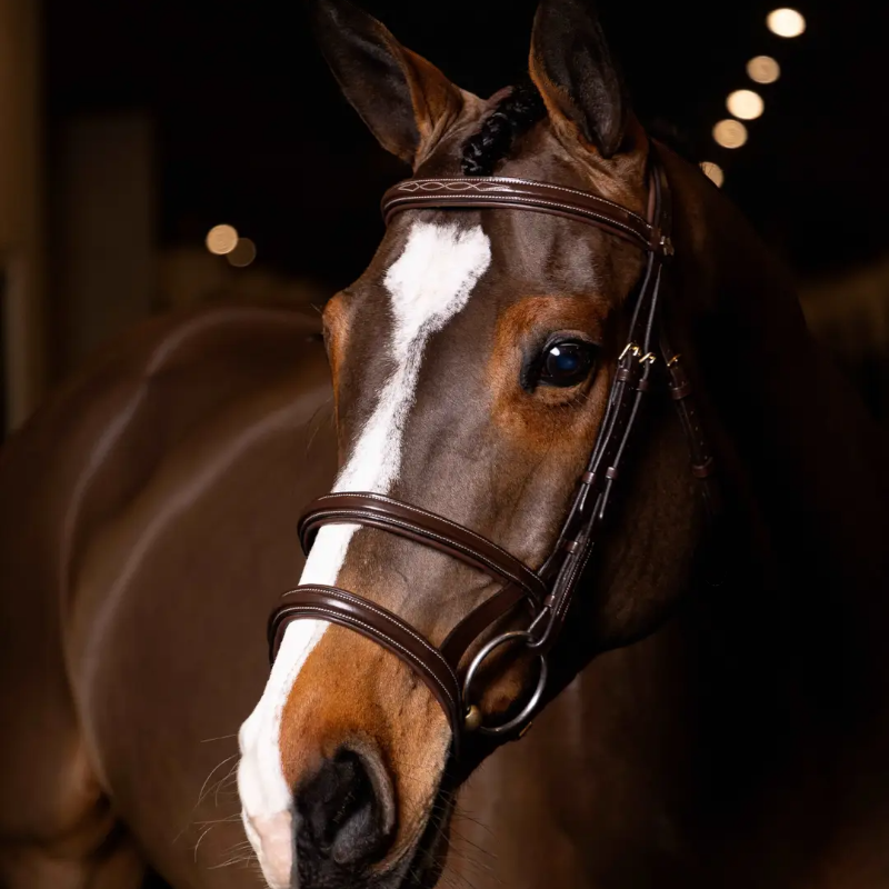 Lemieux - Bridon double muserolle Kudos havane/ laiton | - Ohlala