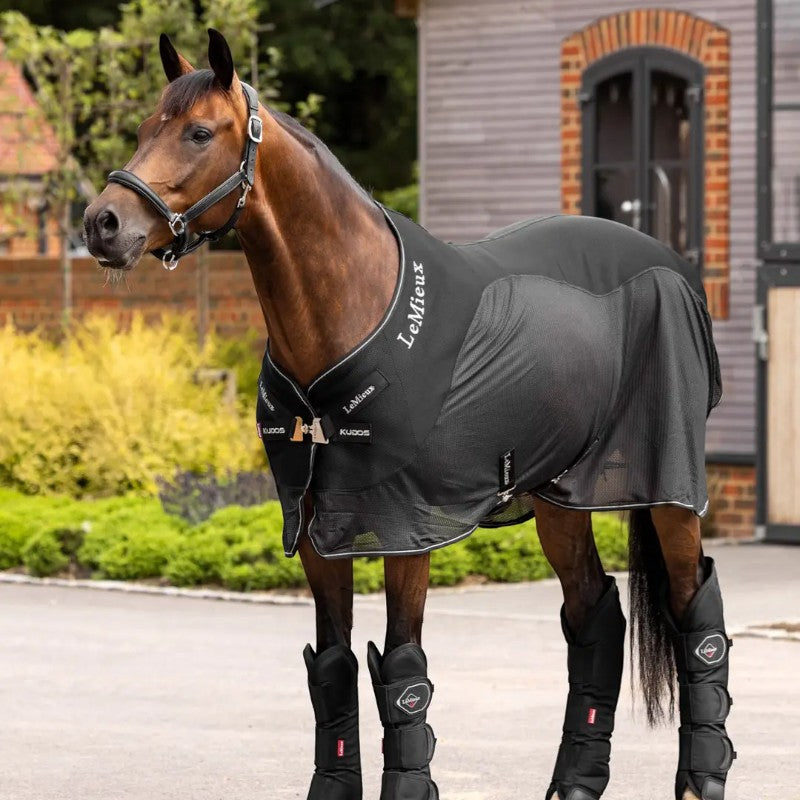 Lemieux - Guêtres de transport Travel Boots noir | - Ohlala