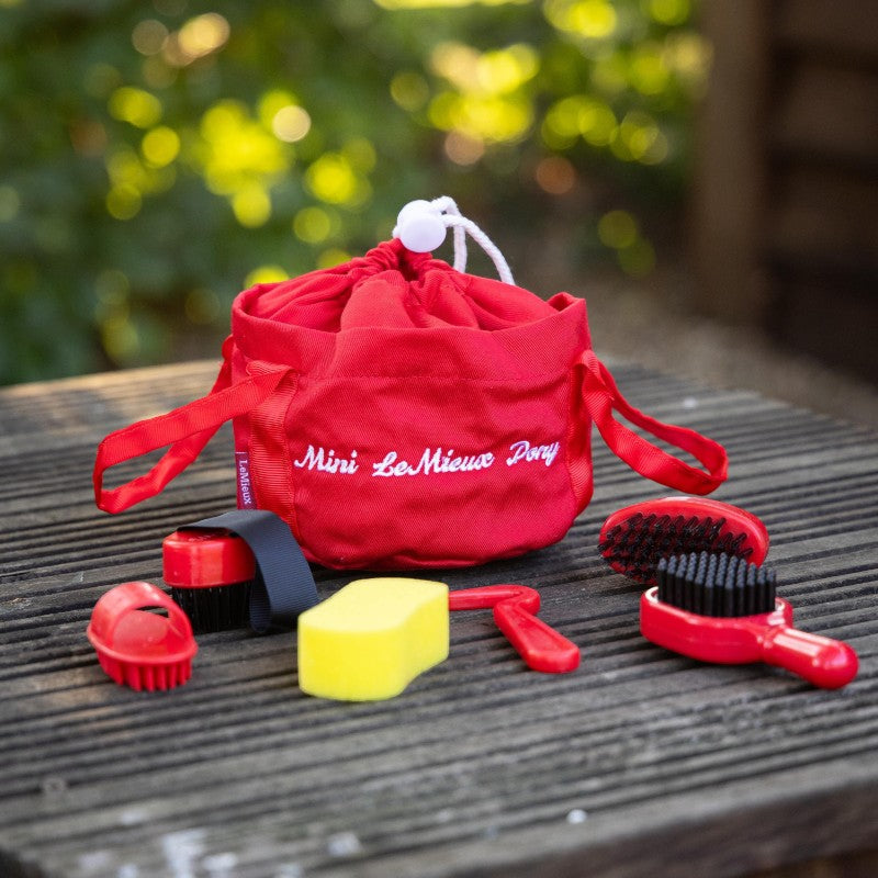 Lemieux - Grooming kit for toy pony Chilli