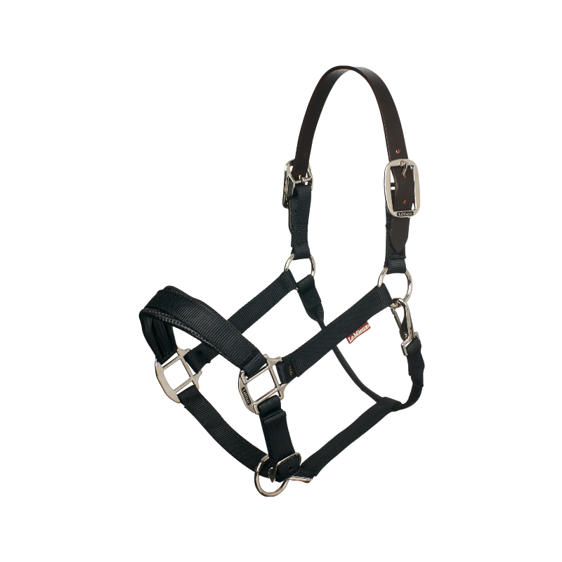 Lemieux - Break Away halster zwart | - Ohlala