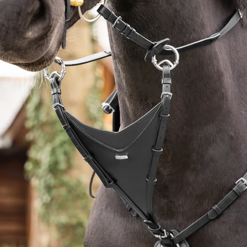 Lemieux - Kudos Bib-Martingal schwarz/ silber | - Ohlala