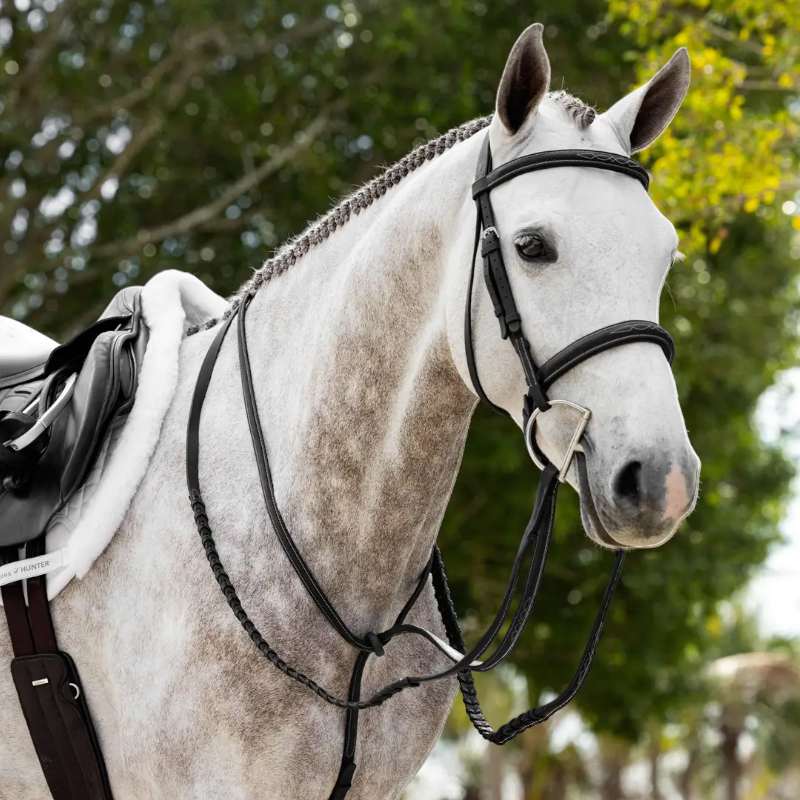 Lemieux - Vaste martingaal Hunter zwart/zilver | - Ohlala