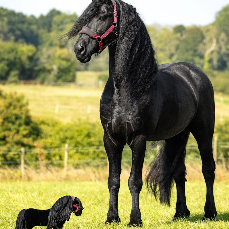 Lemieux - Plush Toy Pony Spike
