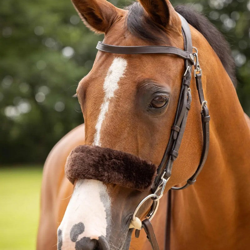 Lemieux - Simuwool Noseband Cover Brown | - Ohlala
