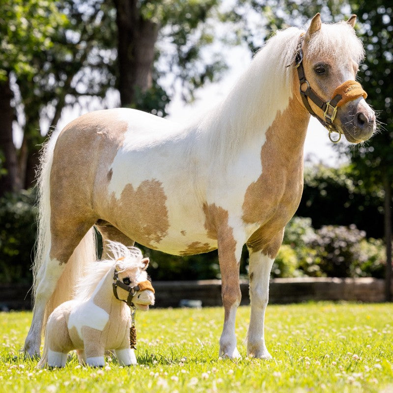 Lemieux - Toy Pony Lemon