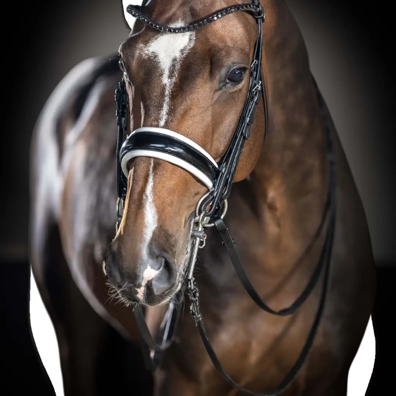 Lemieux - Kudos Bridle black/ white | - Ohlala