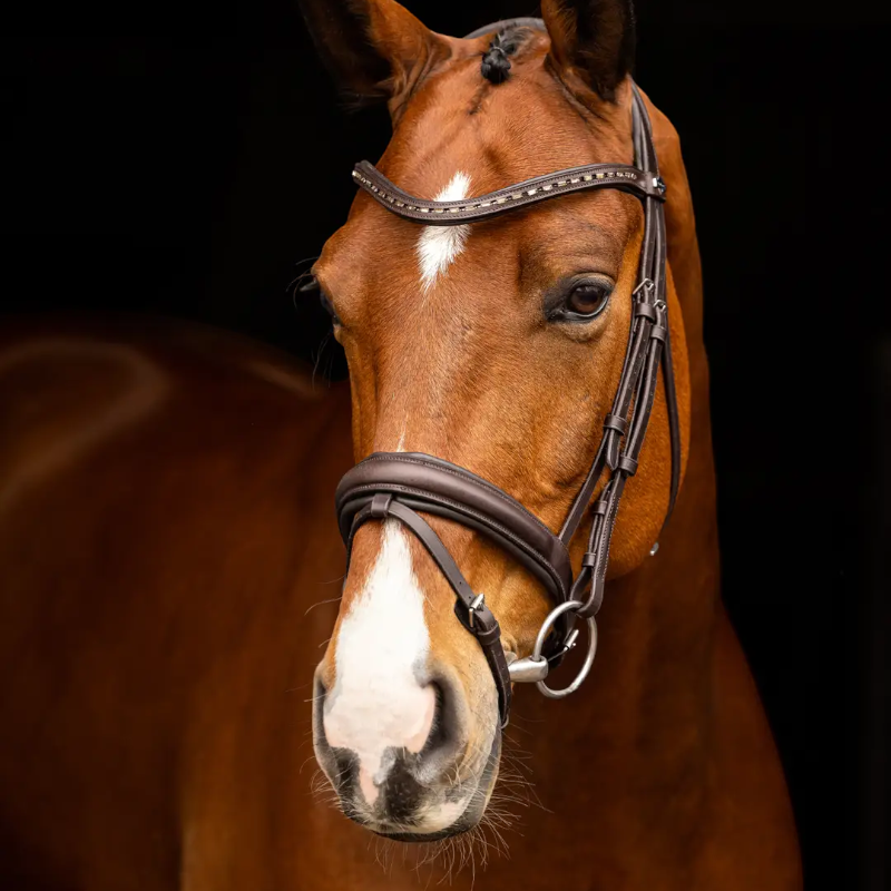 Lemieux - Bridon de dressage Arika marron/ argent