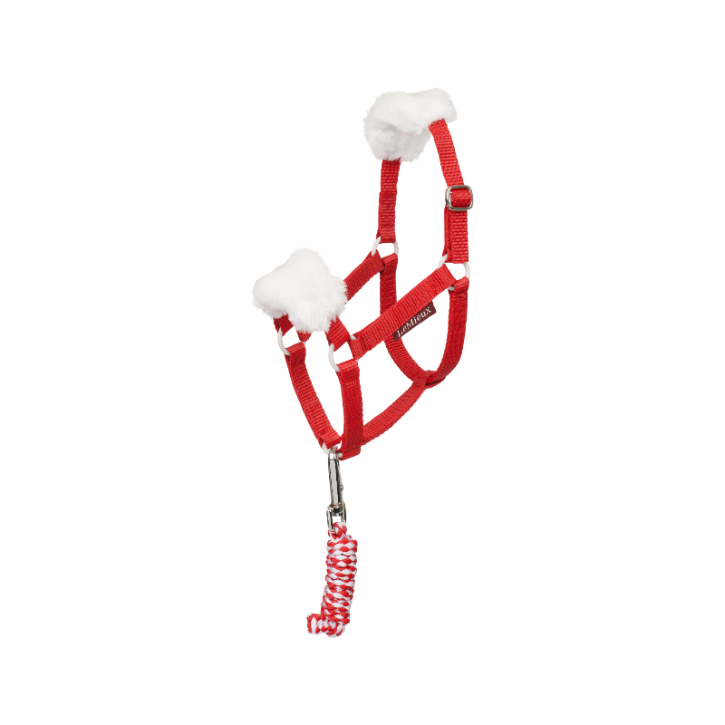 LeMieux - Longe et licol Hobby Horse Noël rouge | - Ohlala