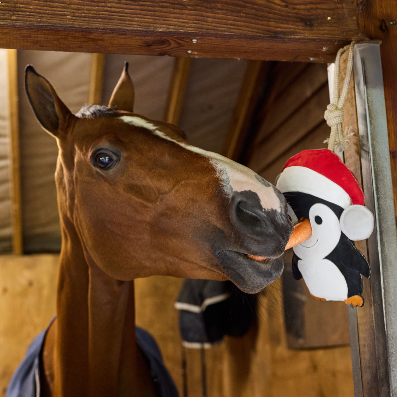 LeMieux - Horse toy Penguin | - Ohlala