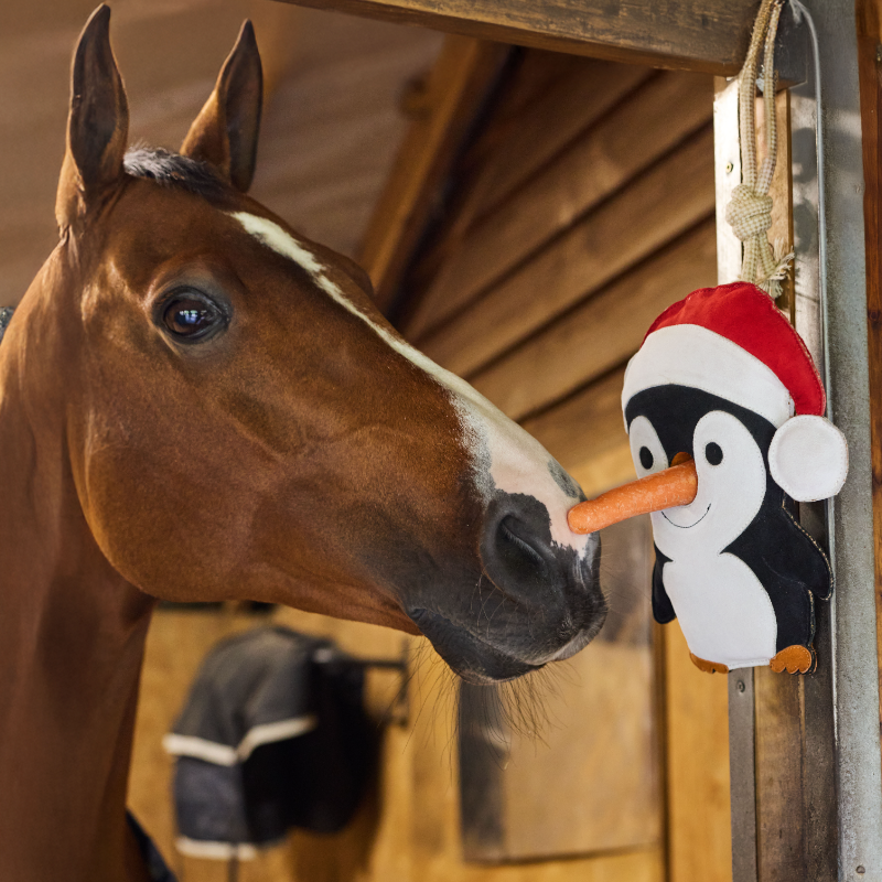 LeMieux - Penguin horse toy | - Ohlala