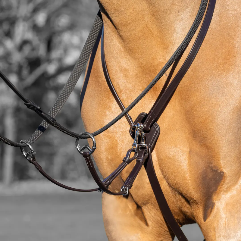 Lemieux - Martingale de argollas Kudos marrón/ plata | - Ohlala