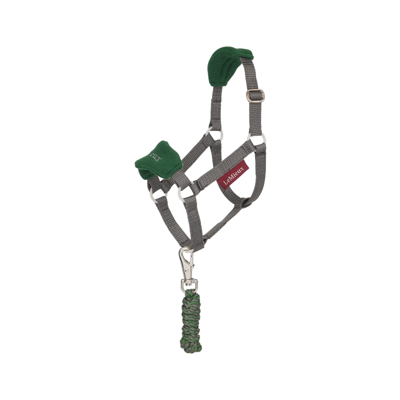 Lemieux - Vogue Headcollar and Lead Rope for Hobby Horse Hunter Green | - Ohlala