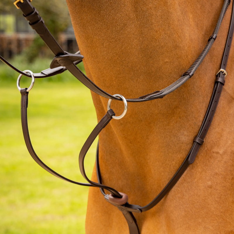 Lemieux - Martingale à anneaux Arika marron/ argent