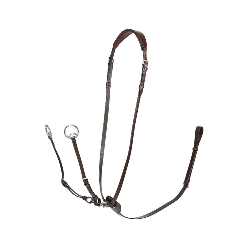 Lemieux - Kudos ringmartingaal havana/zilver | - Ohlala