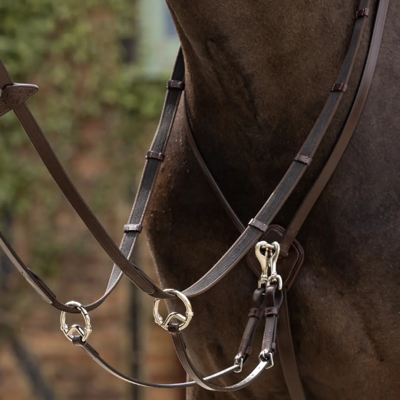 Lemieux - Kudos ringmartingaal havana/zilver | - Ohlala