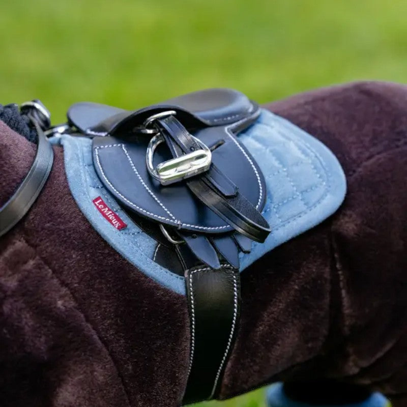 Lemieux - Sudadero para Toy Pony ice blue | - Ohlala