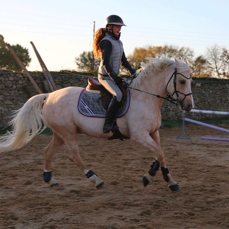 Les poneys de Zoé - Czaprak #Ponyboom szary/fioletowy | - Ohlala