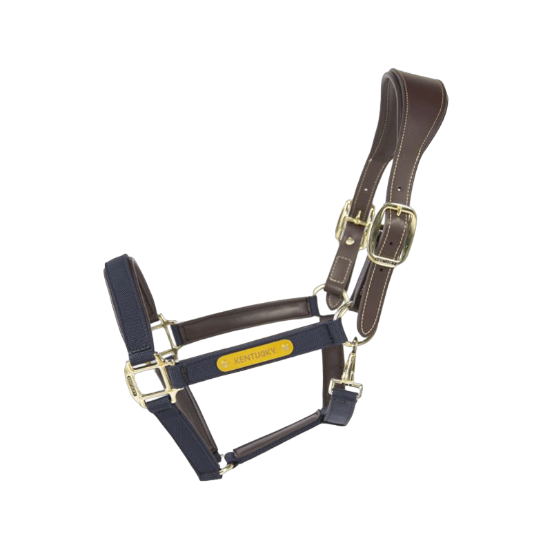 Kentucky Horsewear - Anatomic nylon halter navy | - Ohlala