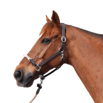 Canter - Touwhalster zilver beslag bruin/ beige | - Ohlala