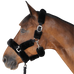 Canter - Licol de transport noir | - Ohlala