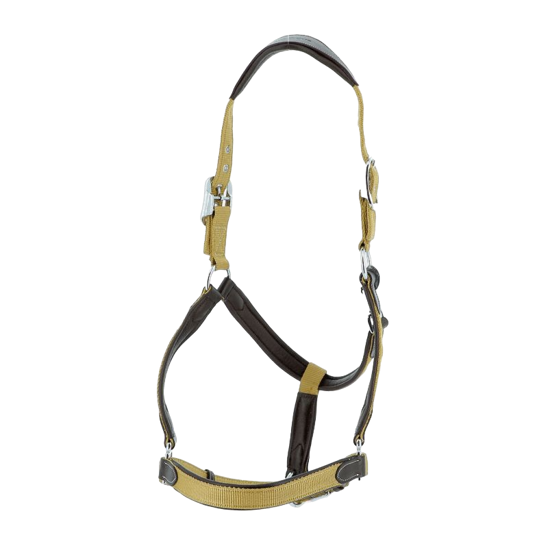Flags & Cup - Nylon and brown leather horse halter / cognac