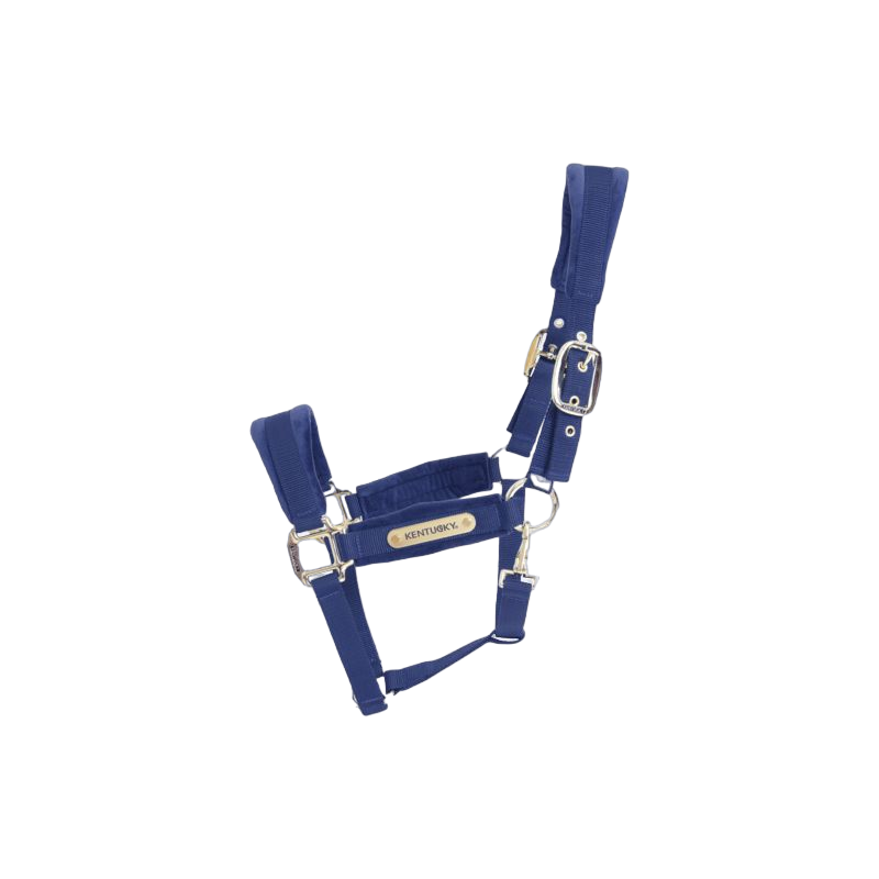 Kentucky Horsewear - Velvet halter navy | - Ohlala