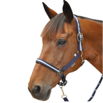 Canter - Nylon halter and lead rope navy / silver | - Ohlala