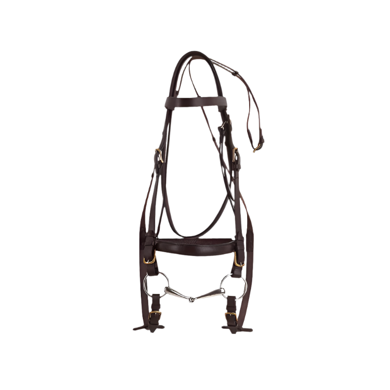 Norton - Bridon "CLUB" pour cheval de trait havane | - Ohlala