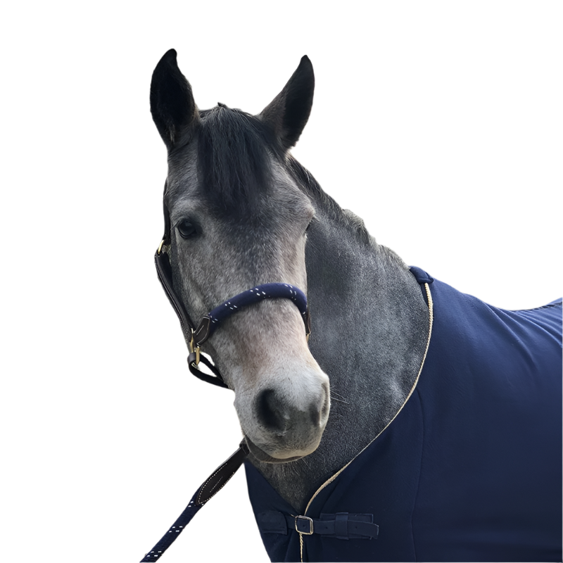 Canter - Licol cheval corde marron/ marine | - Ohlala