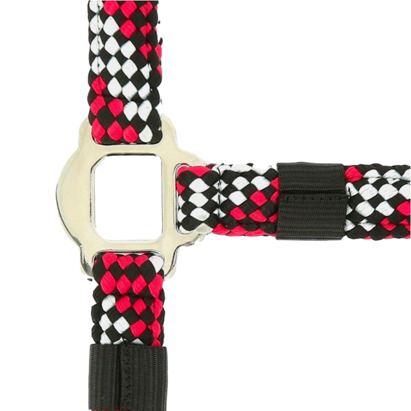 Equithème - Braided halter and lead rope fuchsia/ grey/ black | - Ohlala