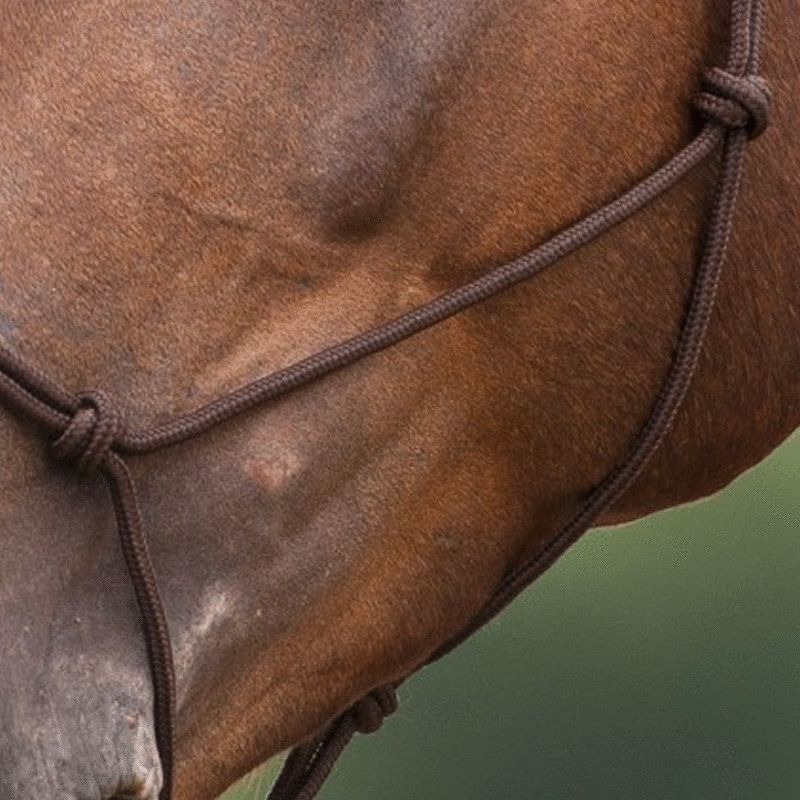 Soft Ethical Headcollar in Brown | - Ohlala