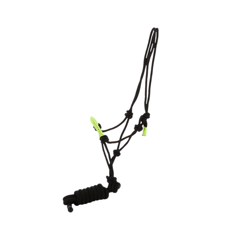 Norton - Licol éthologique et longe Fun colour noir/vert | - Ohlala